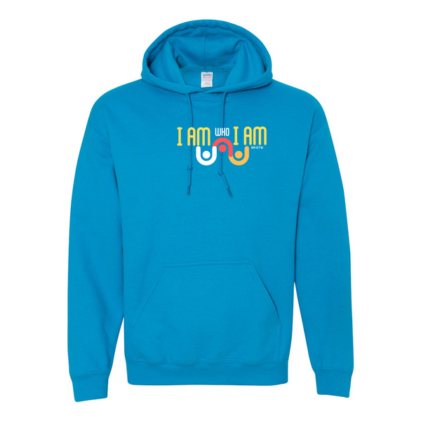 Heavy Blend Hooded Sweatshirt